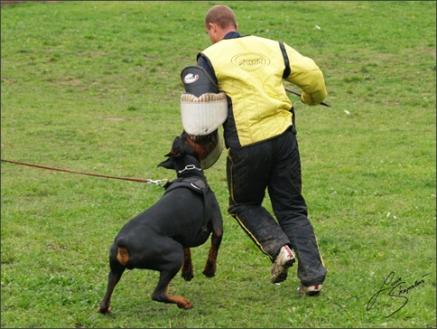 Training in Prague 10/2007